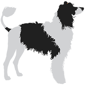 Image is not available